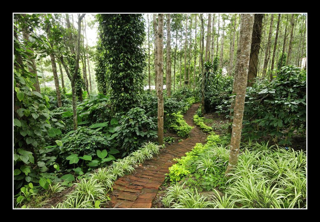 Hotel Shevaroys Yercaud Exterior photo